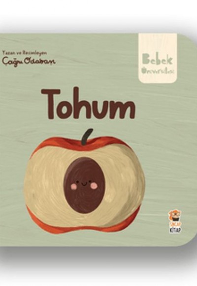Tohum Tohum