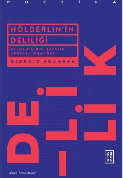 Hölderlin'in Deliliği Hölderlin'in Deliliği