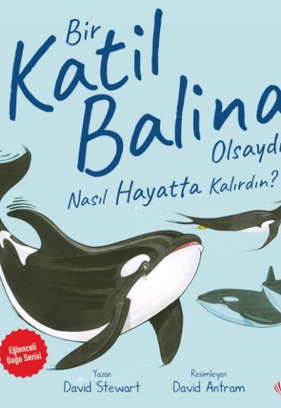 Bir Katil Balina Olsaydın Nasıl Hayatta Kalırdın? Bir Katil Balina Olsaydın Nasıl Hayatta Kalırdın?