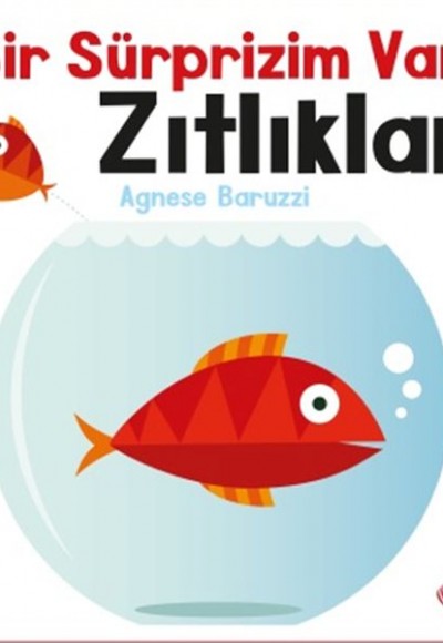 Bir Sürprizim Var Zıtlıklar Bir Sürprizim Var Zıtlıklar
