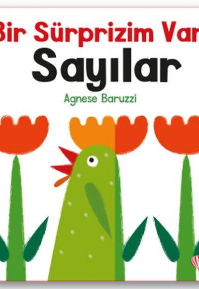 Bir Sürprizim Var Sayılar Bir Sürprizim Var Sayılar
