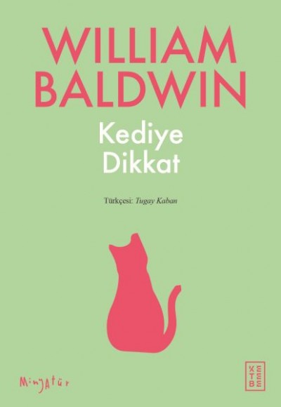 Kediye Dikkat Kediye Dikkat