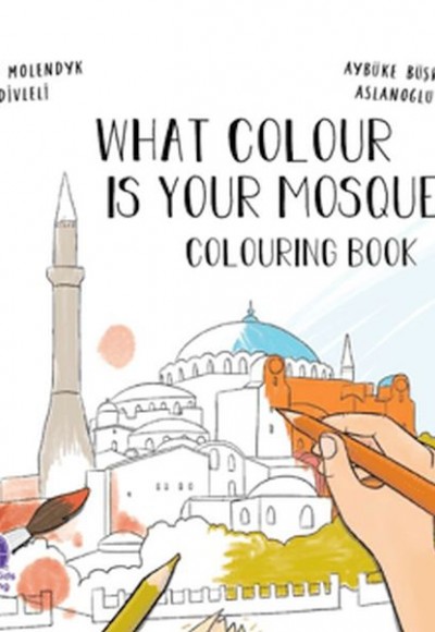 What Colour Is Your Mosque Colouring Book What Colour Is Your Mosque Colouring Book