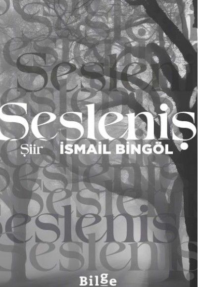 Sesleniş Sesleniş