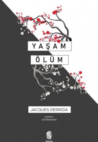 Yaşam Ölüm Yaşam Ölüm