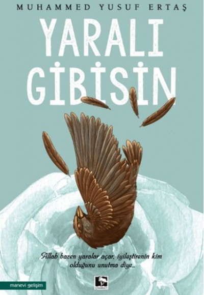 Yaralı Gibisin Yaralı Gibisin