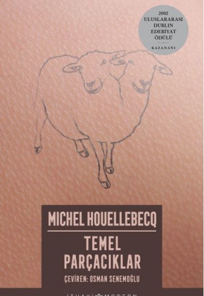 Temel Parçacıklar Temel Parçacıklar