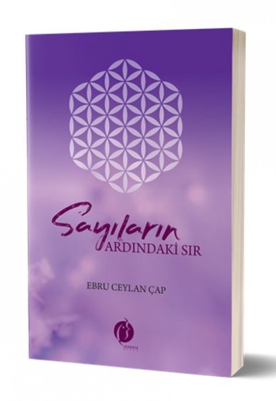 Sayıların Ardındaki Sır Sayıların Ardındaki Sır