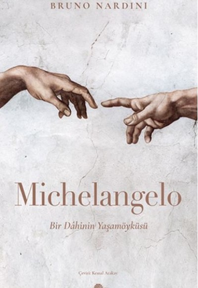Michelangelo Michelangelo