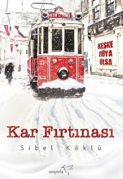 Kar Fırtınası Kar Fırtınası
