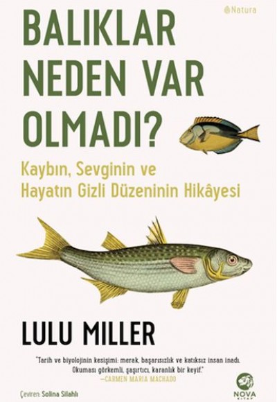 Balıklar Neden Var Olmadı? Balıklar Neden Var Olmadı?