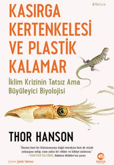 Kasırga Kertenkelesi ve Plastik Kalamar Kasırga Kertenkelesi ve Plastik Kalamar