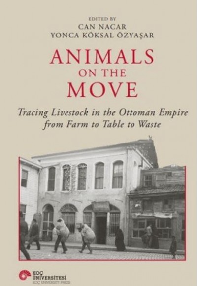 Animals On The Move Animals On The Move