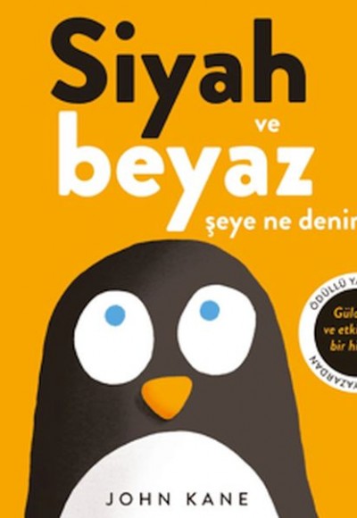 Siyah ve Beyaz Şeye Ne Denir? Siyah ve Beyaz Şeye Ne Denir?