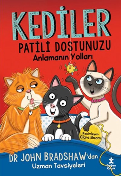 Kediler - Patili Dostunuzu Anlamanın Yolları Kediler - Patili Dostunuzu Anlamanın Yolları