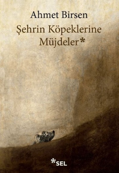 Şehrin Köpeklerine Müjdeler Şehrin Köpeklerine Müjdeler