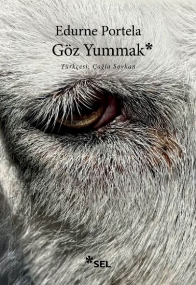 Göz Yummak Göz Yummak