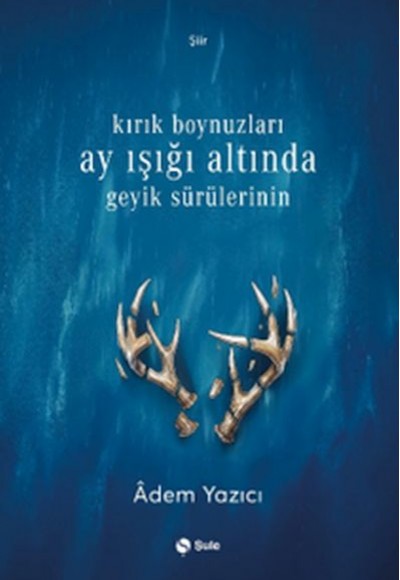Kırık Boynuzları Ay Işığı Altında Geyik Sürülerinin