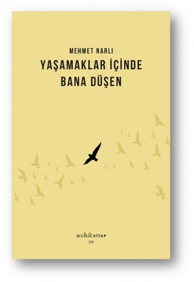 Yaşamaklar İçinde Bana Düşen