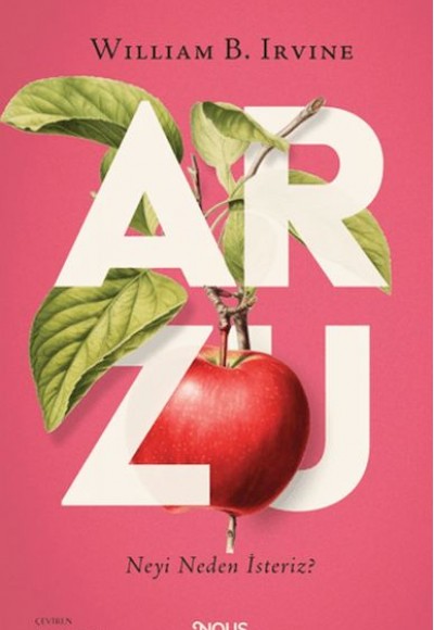 Arzu Arzu
