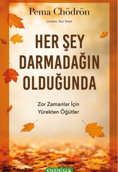 Her Şey Darmadağın Olduğunda Her Şey Darmadağın Olduğunda