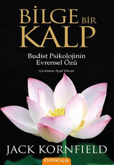 Bilge Bir Kalp Bilge Bir Kalp