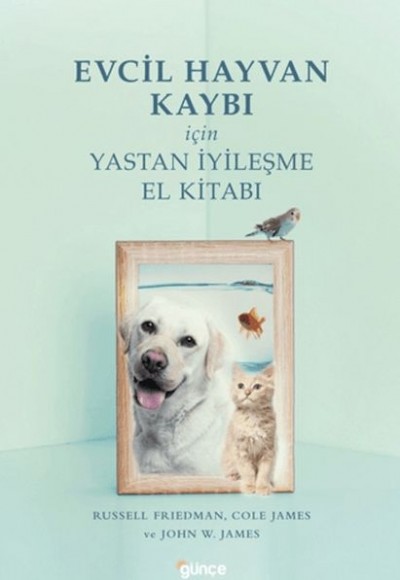 Evcil Hayvan Kaybı İçin Yastan İyileşme Evcil Hayvan Kaybı İçin Yastan İyileşme