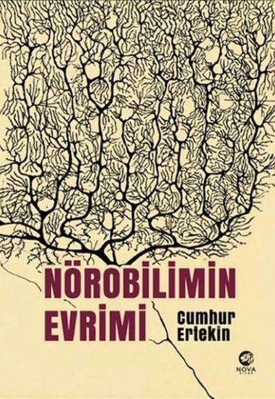 Nörobilimin Evrimi Nörobilimin Evrimi