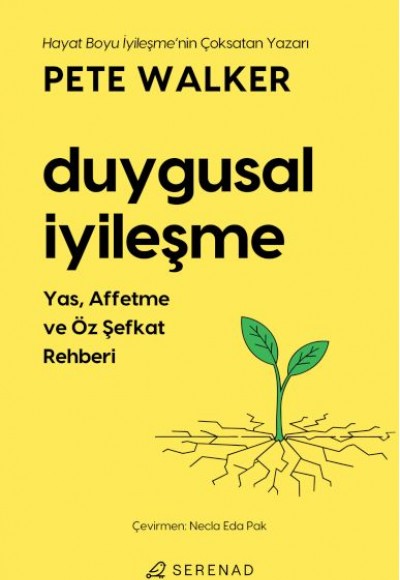Duygusal İyileşme Duygusal İyileşme