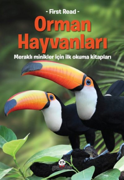 Orman Hayvanları Orman Hayvanları
