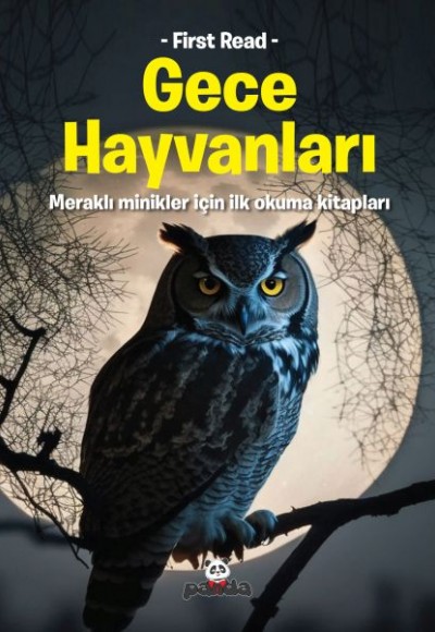 Gece Hayvanları Gece Hayvanları