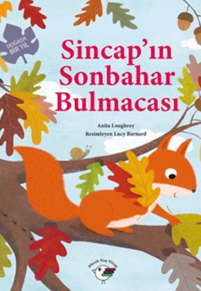 Sincap’ın Sonbahar Bulmacası – Doğada Bir Yıl Sincap’ın Sonbahar Bulmacası – Doğada Bir Yıl