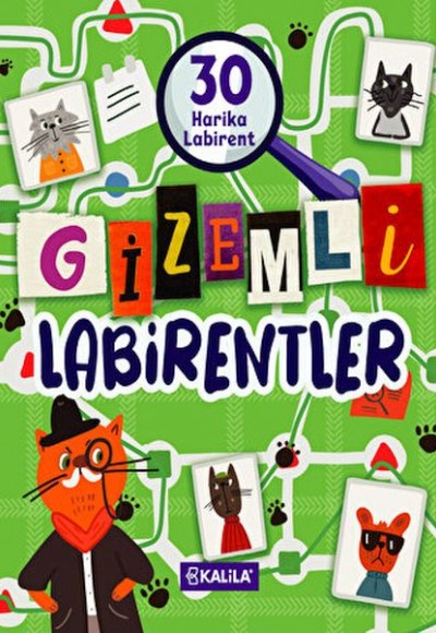 Gizemli Labirentler Gizemli Labirentler