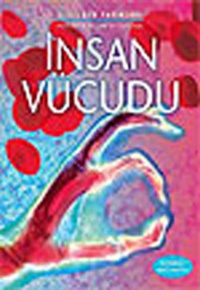 İnsan Vücudu İnsan Vücudu