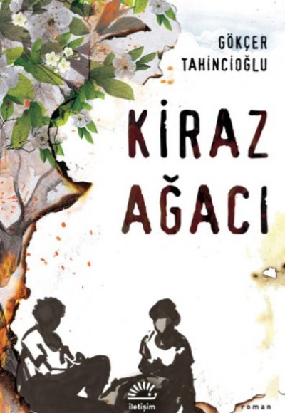 Kiraz Ağacı Kiraz Ağacı
