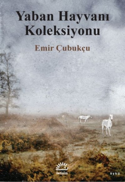 Yaban Hayvanı Koleksiyonu Yaban Hayvanı Koleksiyonu