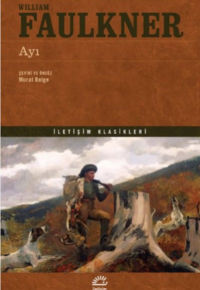 Ayı Ayı