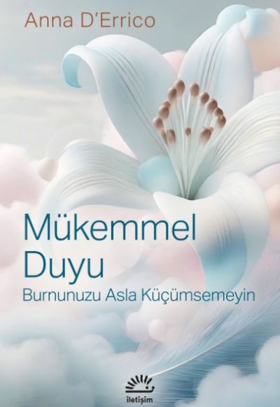 Mükemmel Duyu Mükemmel Duyu