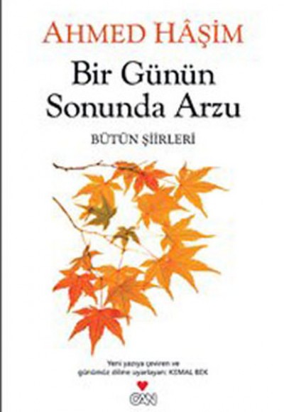 Bir Günün Sonunda Arzu Bütün Şiirleri Bir Günün Sonunda Arzu Bütün Şiirleri