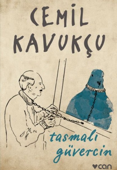 Tasmalı Güvercin Tasmalı Güvercin