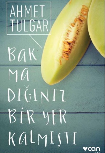Bakmadığınız Bir Yer Kalmıştı Bakmadığınız Bir Yer Kalmıştı