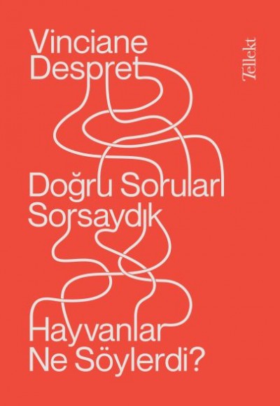 Doğru Soruları Sorsaydık Hayvanlar Ne Söylerdi? Doğru Soruları Sorsaydık Hayvanlar Ne Söylerdi?