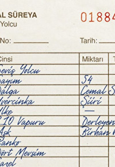 Seviş Yolcu Seviş Yolcu
