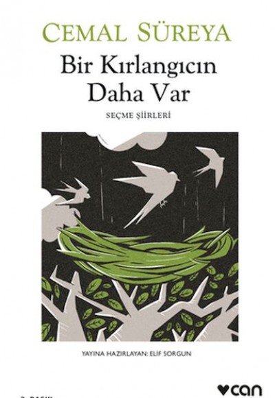 Bir Kırlangıcın Daha Var Bir Kırlangıcın Daha Var