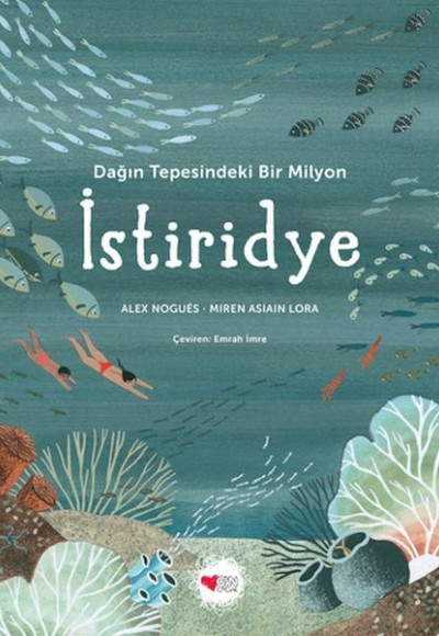 Dağın Tepesindeki Bir Milyon İstiridye Dağın Tepesindeki Bir Milyon İstiridye