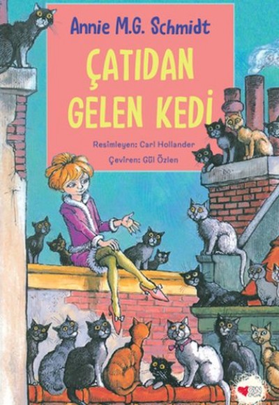 Çatıdan Gelen Kedi Çatıdan Gelen Kedi
