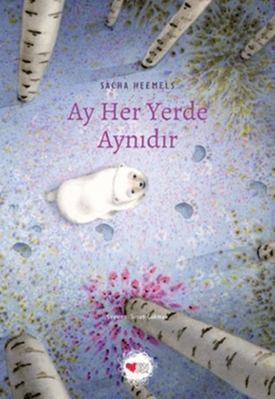 Ay Her Yerde Aynıdır Ay Her Yerde Aynıdır