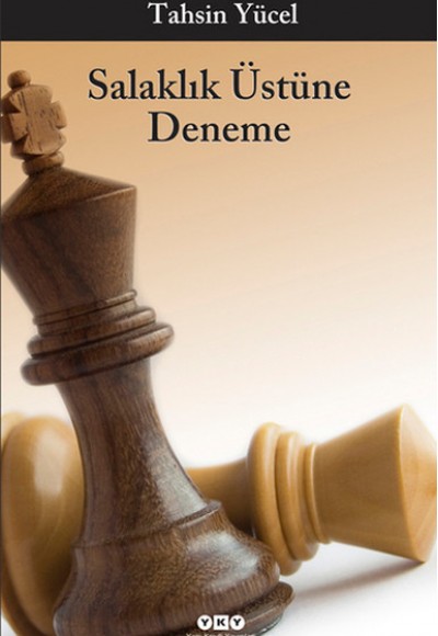 Salaklık Üstüne Deneme Salaklık Üstüne Deneme