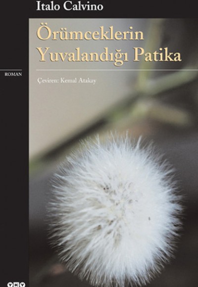 Örümceklerin Yuvalandığı Patika Örümceklerin Yuvalandığı Patika