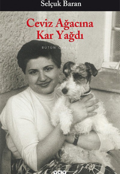 Ceviz Ağacına Kar Yağdı Ceviz Ağacına Kar Yağdı